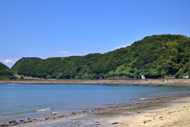 7月のスケジュール